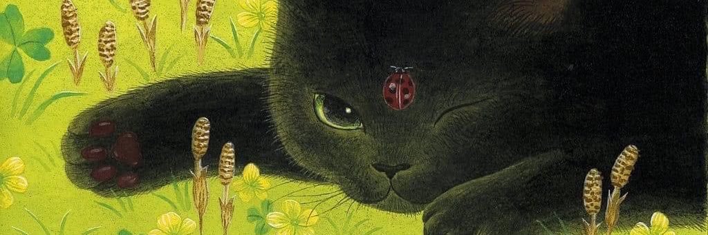 heartshapedvoid's profile banner image