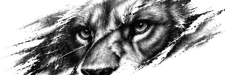 Hkl3_0's profile banner image