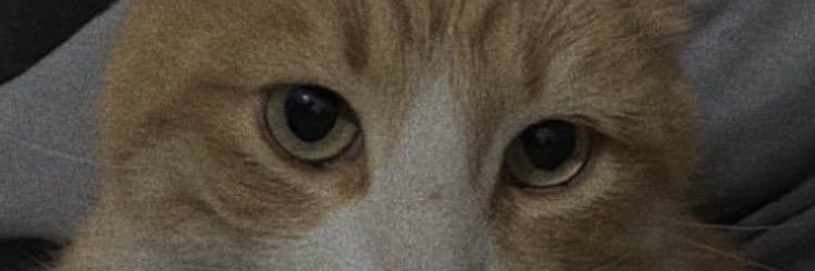 Buneyayeterr's profile banner image