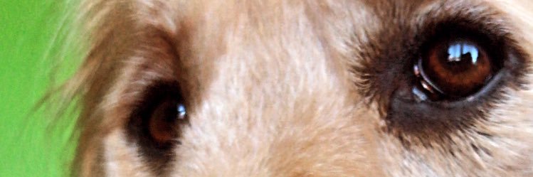 worstinmachine's profile banner image