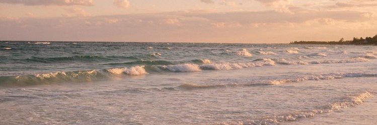 Neoentle 🩰🫧🎀 banner