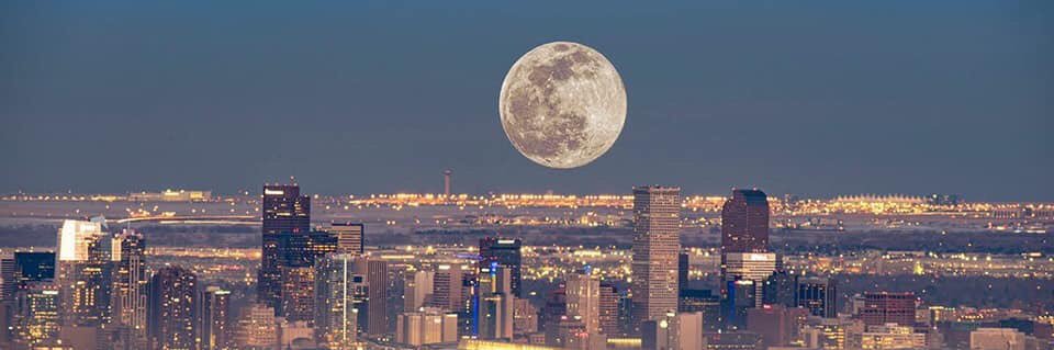 Katie Shepard-Kleinholz banner