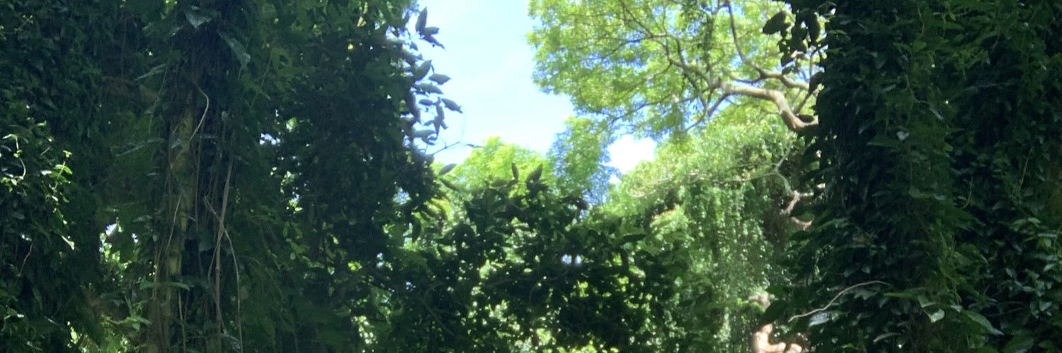 devynzeshredder's profile banner image