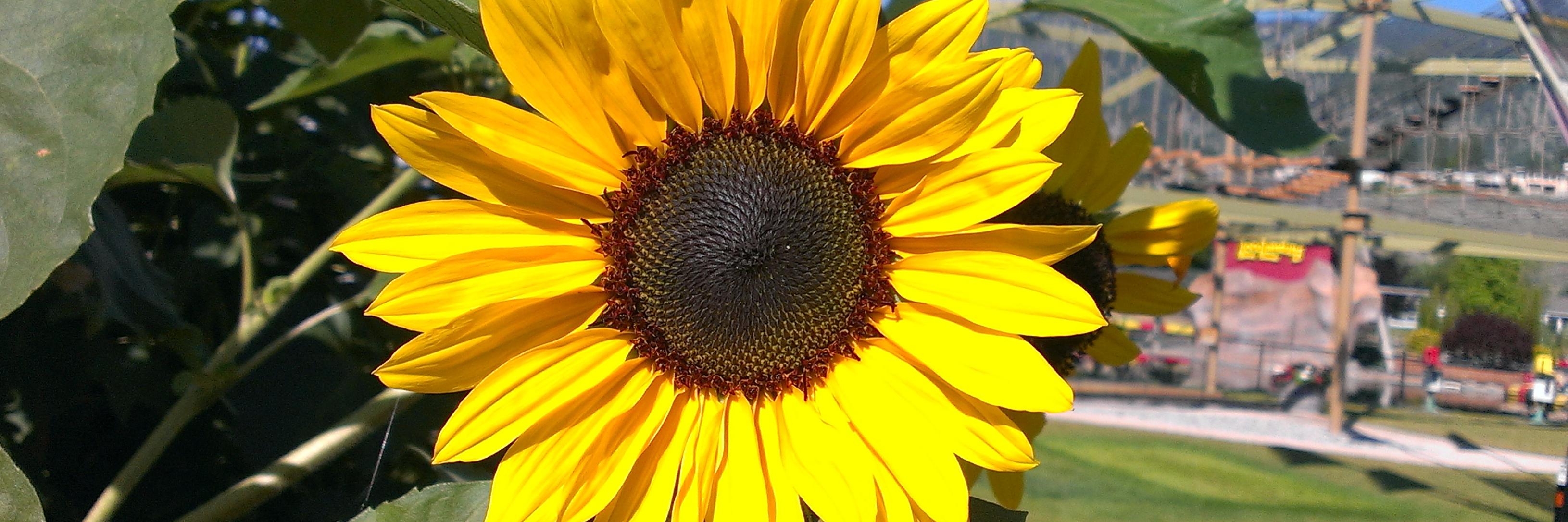 buttonspeak's profile banner image