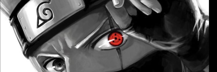 danvasseur's profile banner image