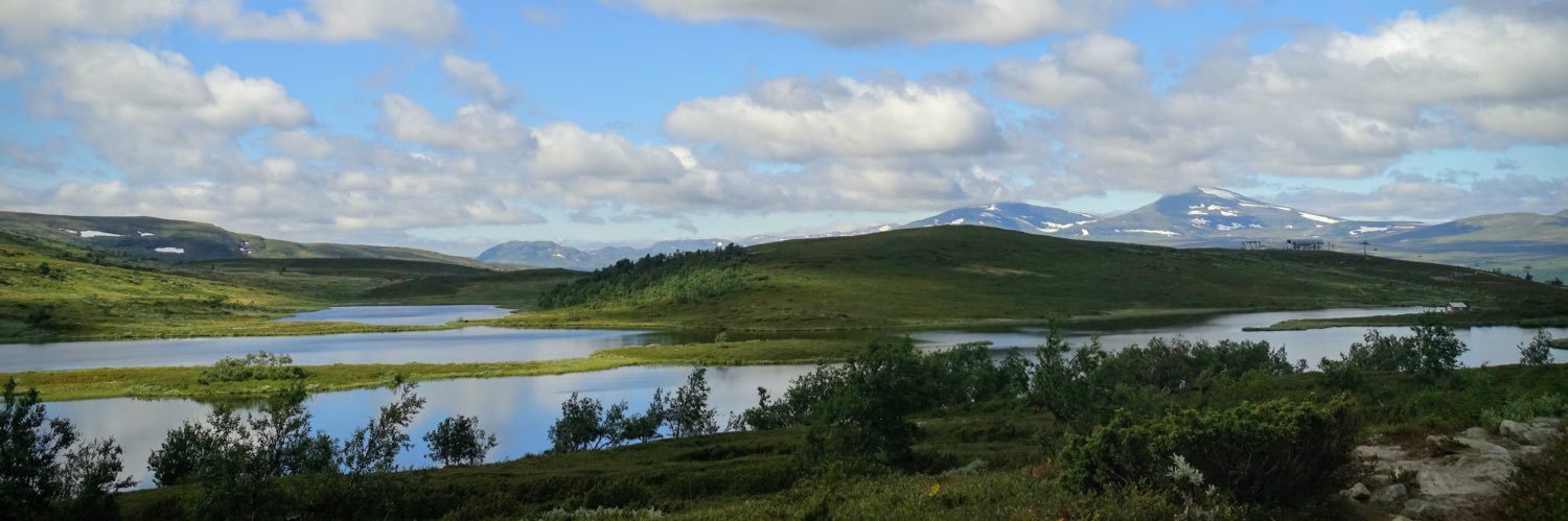 Madeleine Beermann banner