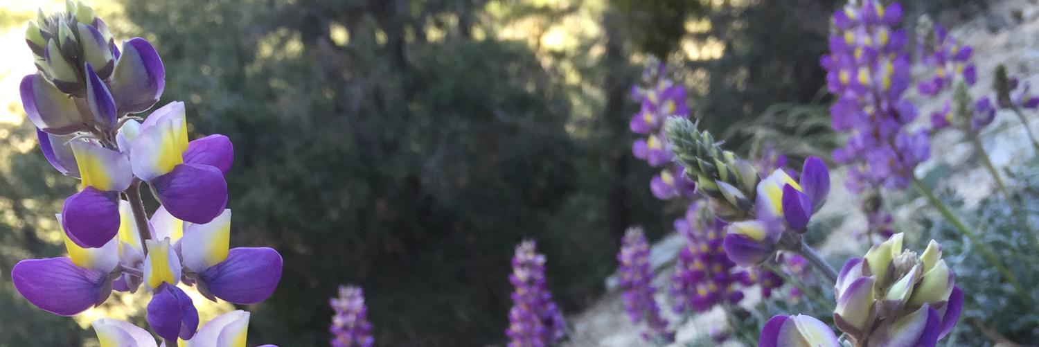 OutdoorWriterCA's profile banner image