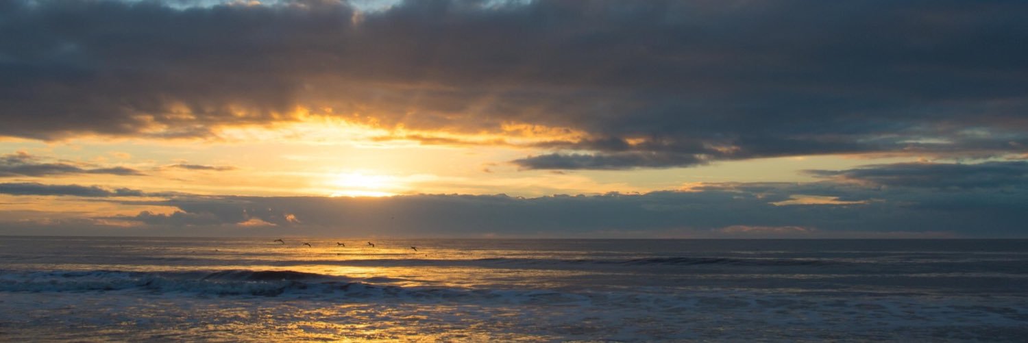 MeganShortle's profile banner image