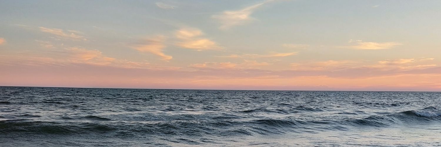 FChaer's profile banner image