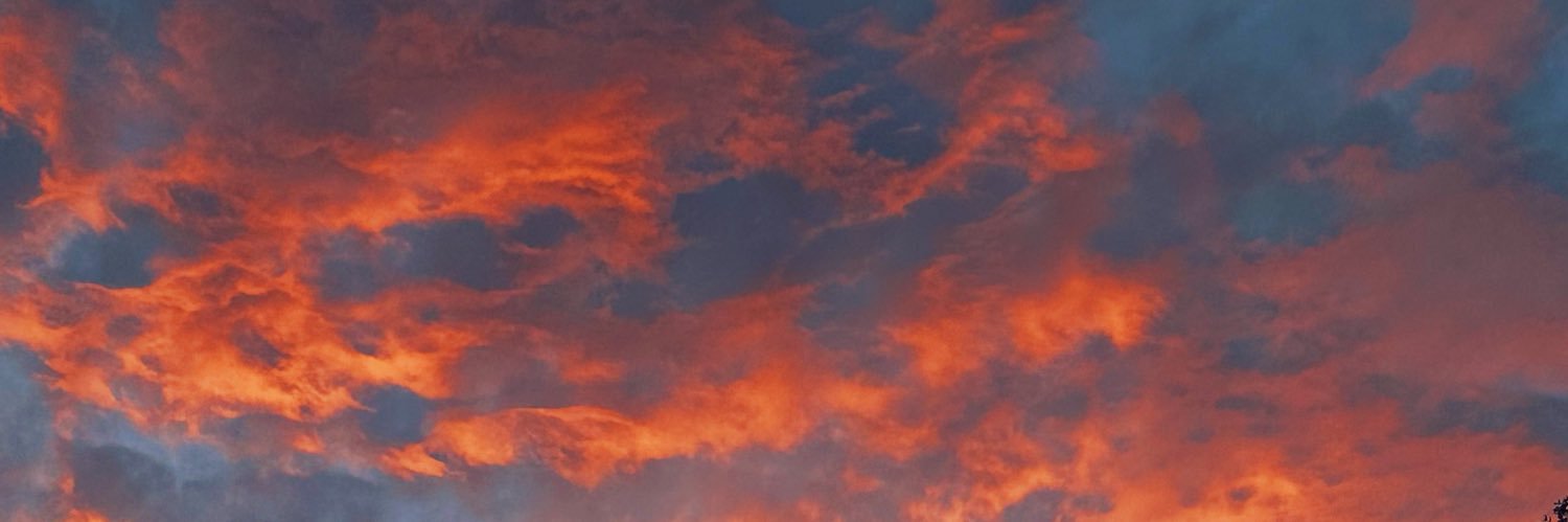 ProctorSydnee's profile banner image