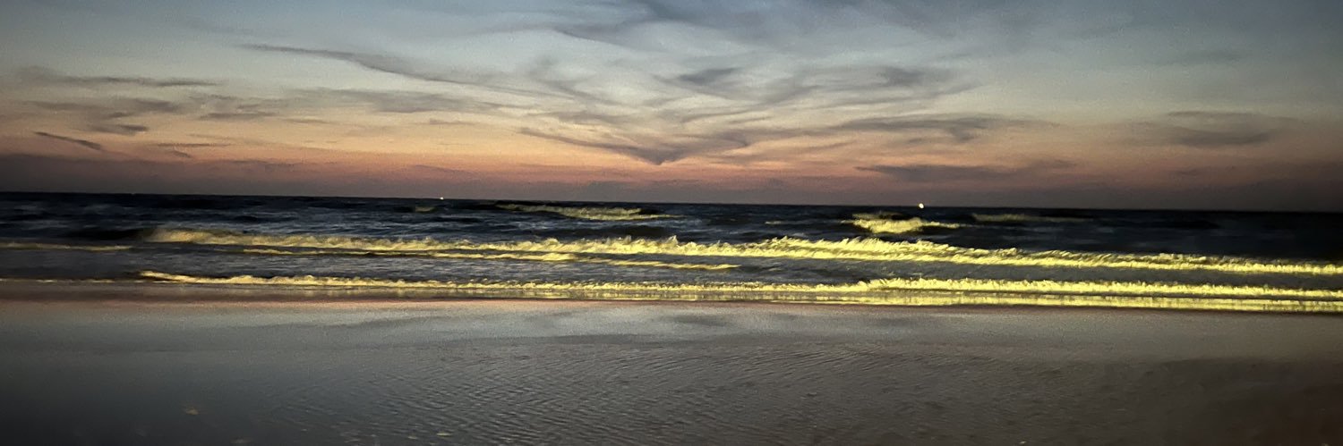 robiprange's profile banner image