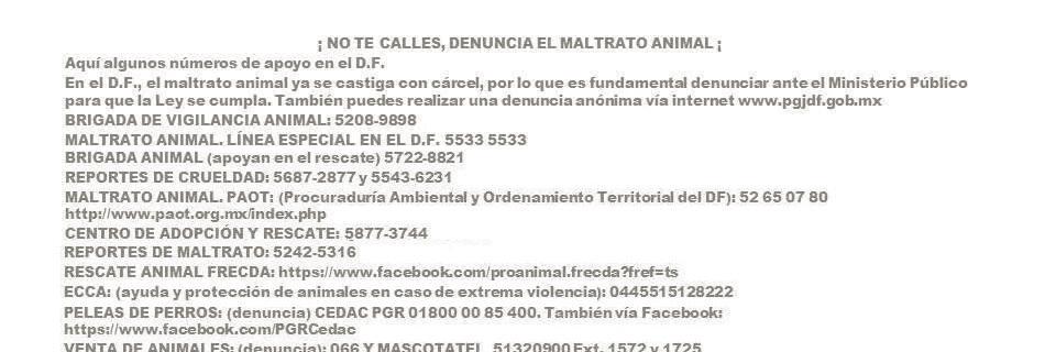 SocProtectAnimalesMX banner