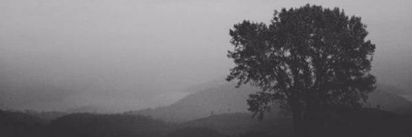 FierceGypsy's profile banner image