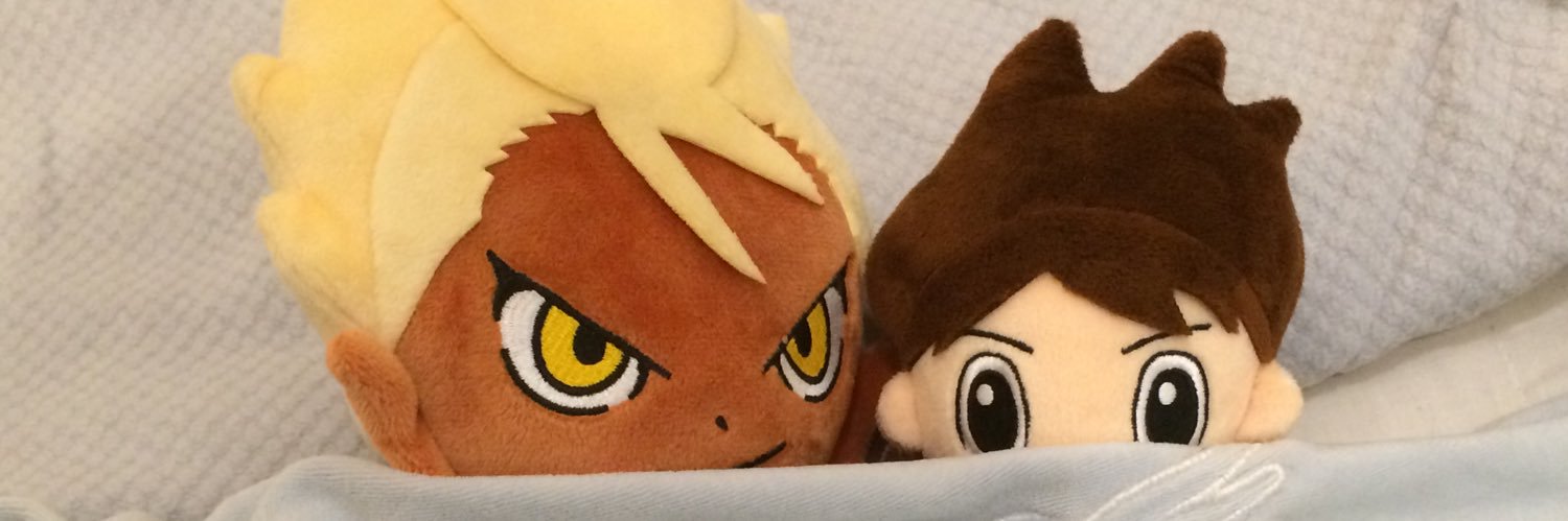 raidicat730's profile banner image