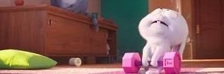 velanonanda's profile banner image