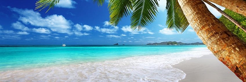 Roman__R2's profile banner image