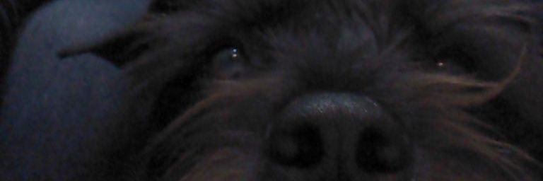 JuanSupelano's profile banner image