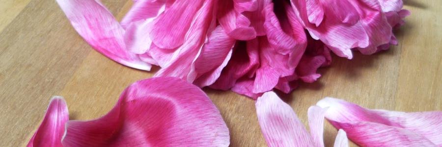 cosmetorium's profile banner image