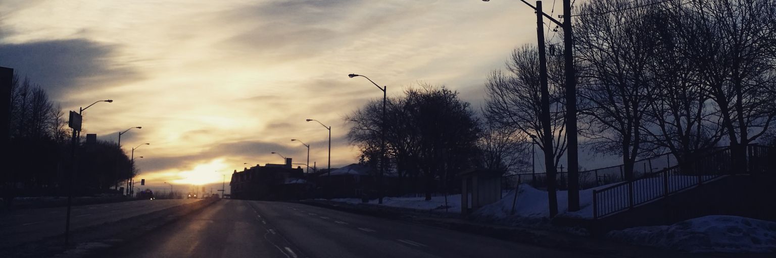 NTran51805's profile banner image