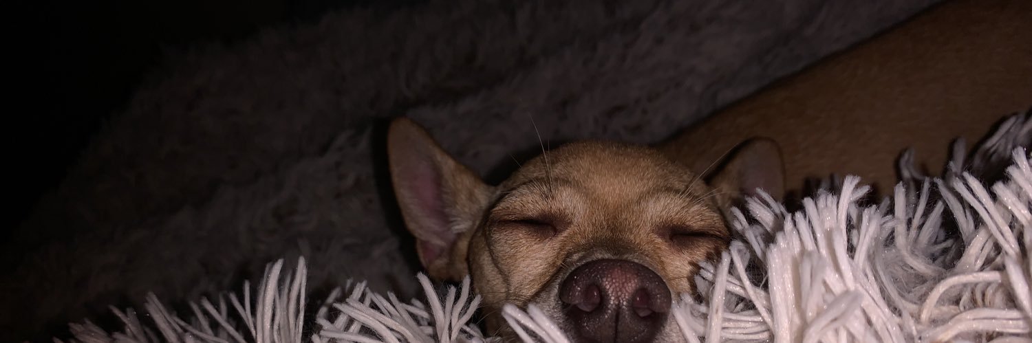 lizbbbbeth_'s profile banner image