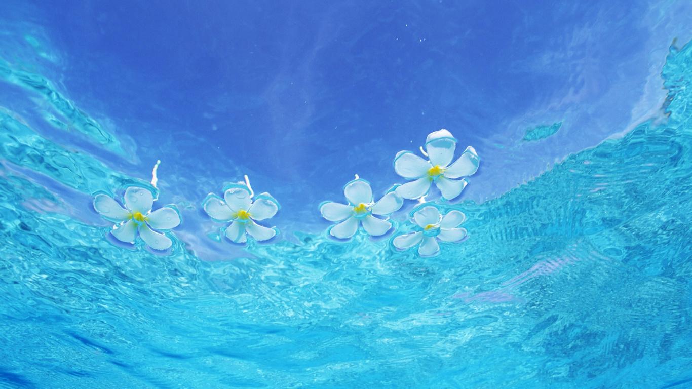 CoolShvakov's profile banner image