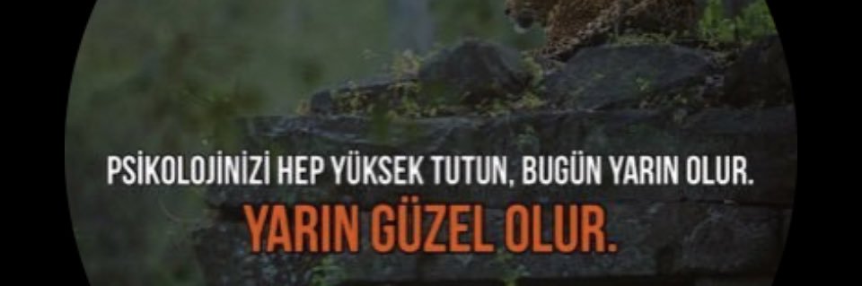 AliRiza_Akoglu's profile banner image