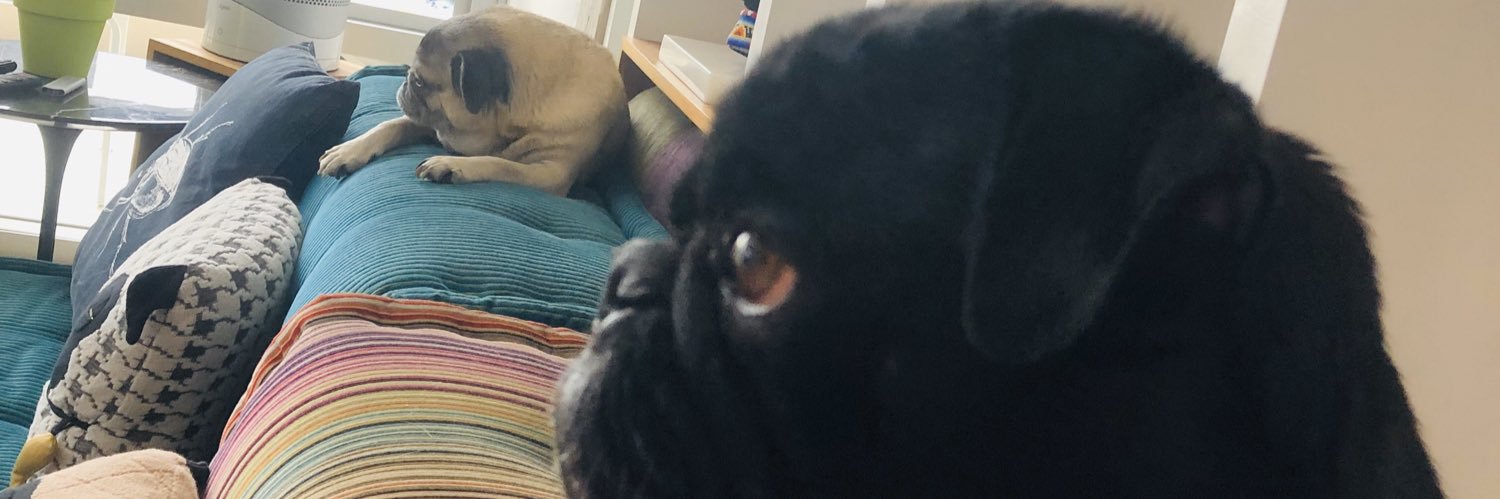 Leathepug's profile banner image