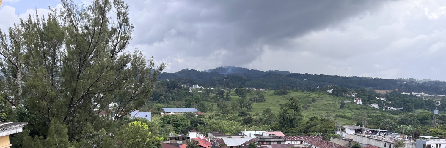 Miss me Spider (mex) banner