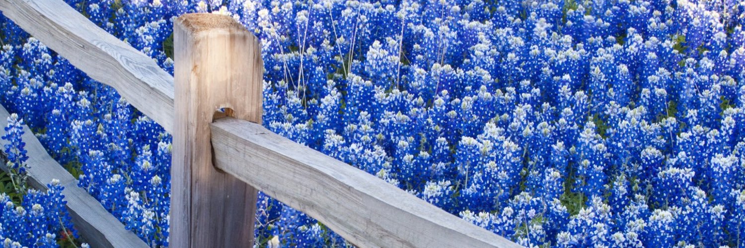 nrwarren14's profile banner image