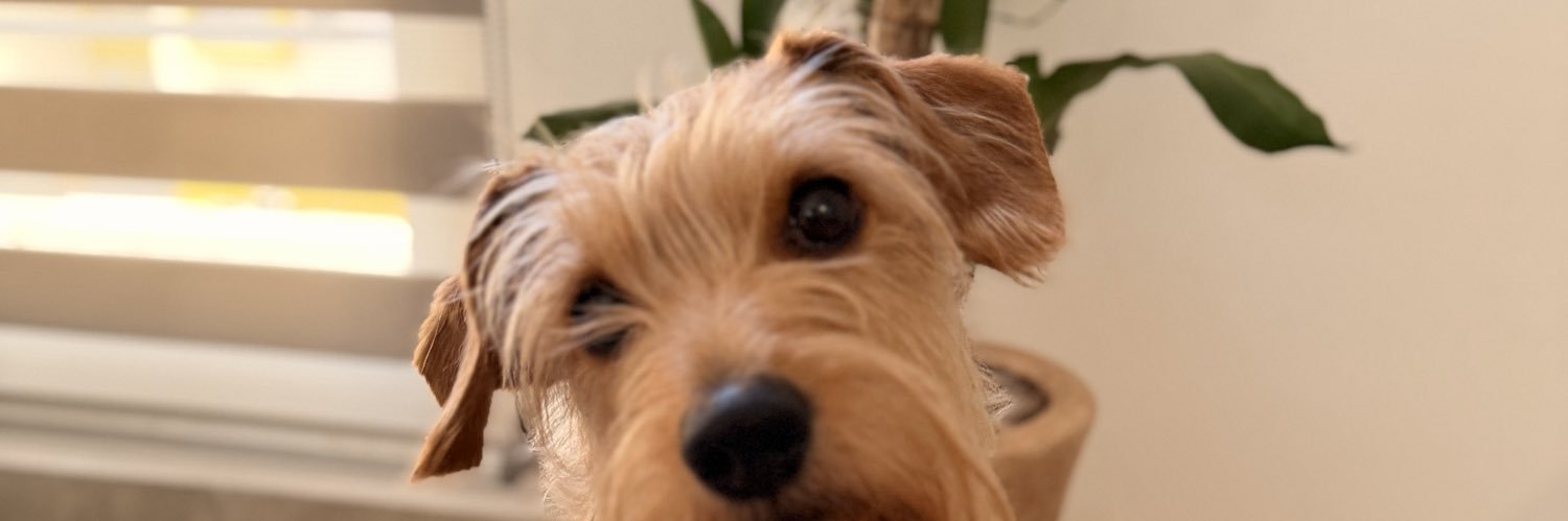 Guillermoenqro's profile banner image