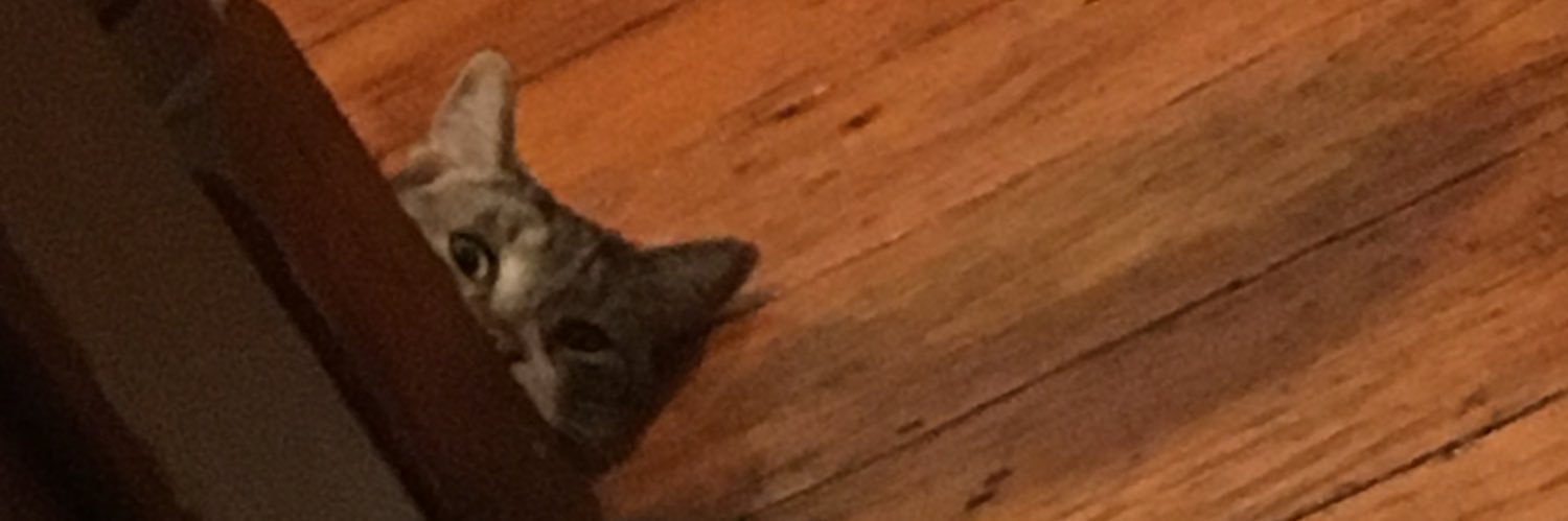 taber_colin's profile banner image