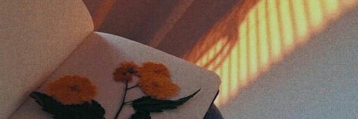 seulgininn's profile banner image