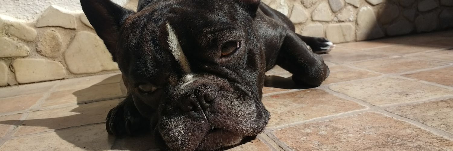 agusarrieta__'s profile banner image