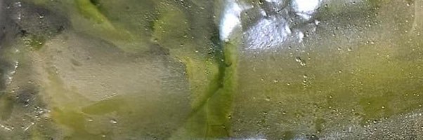 W_alex1's profile banner image