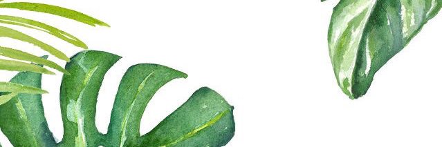 IsaPCamarena's profile banner image