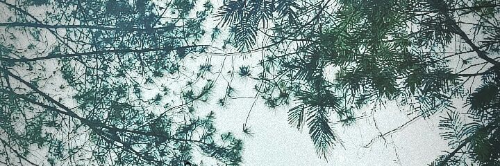 fs_biyu's profile banner image