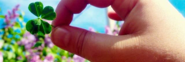 CulturedBabble's profile banner image