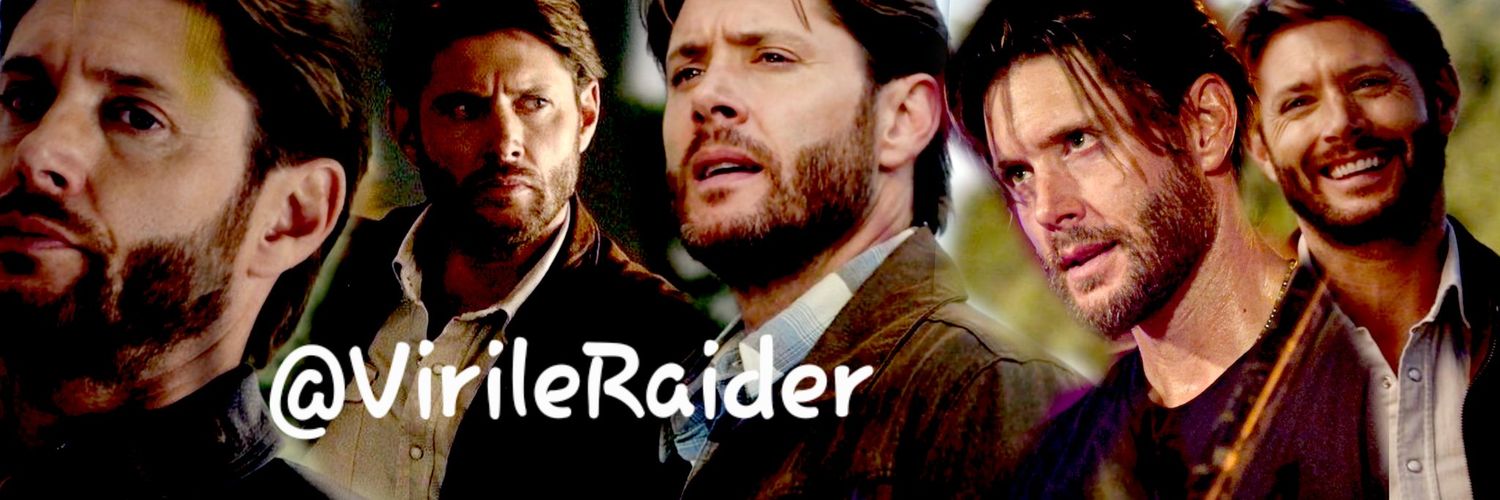 The Warrior Reborn (Fake) banner