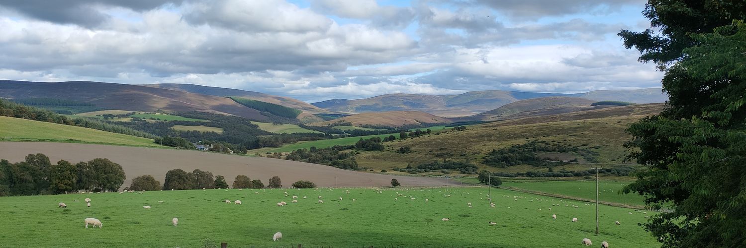 Oliver Thomas banner