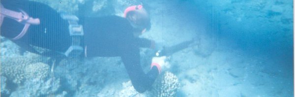 muhmdkh14 Profile Banner