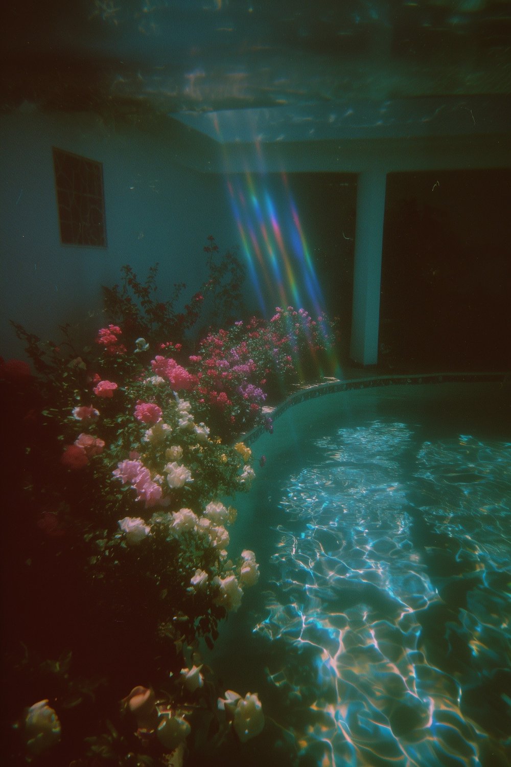 December 💫🌊 banner