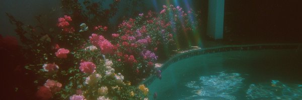 FriendOfAstraea Profile Banner