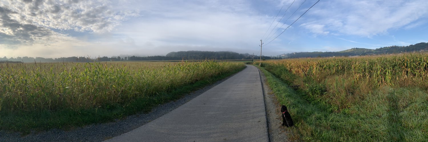 @prometejdd.bsky.social🦝🦅🗽🇺🇦 banner