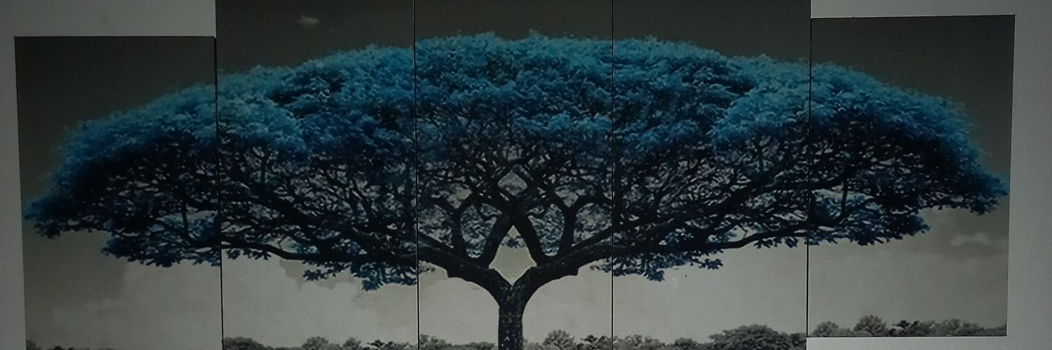 adetoun_007's profile banner image