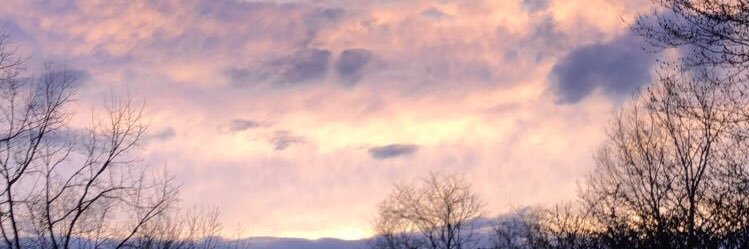 rileyf97's profile banner image