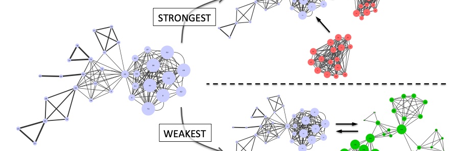 Javier M. Buldú banner