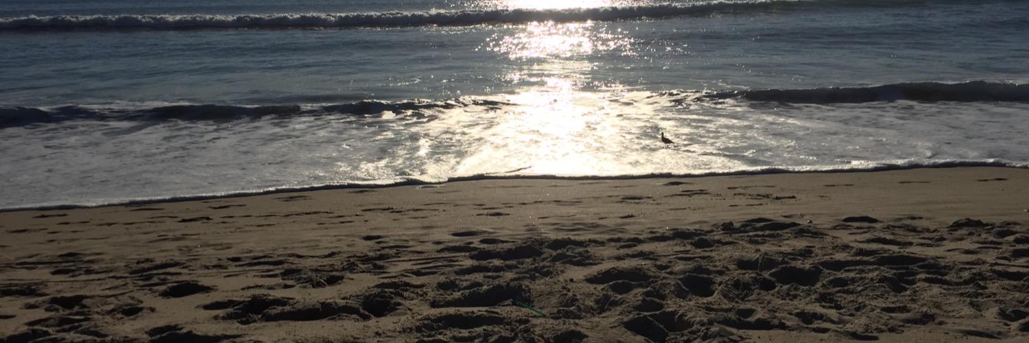 Celia Hartmann banner