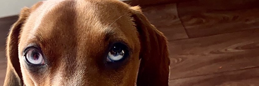 AgusBauer's profile banner image