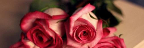 tomma_ma's profile banner image