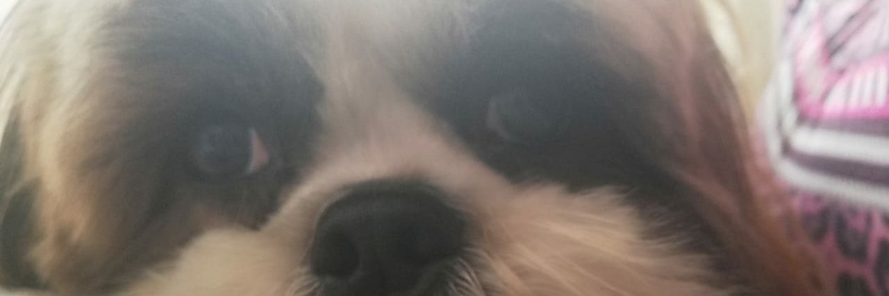andreasantana5's profile banner image